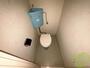 トイレ　綺麗なお手洗いにトイレの神様も満足です
