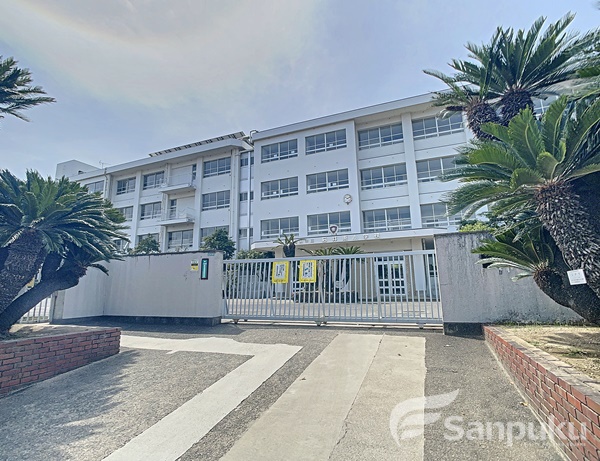 小学校　石井東小学校（小学校）まで1113m