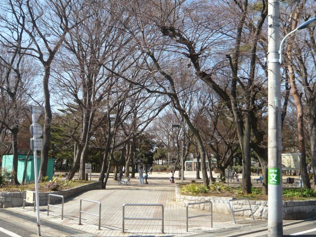 公園　大泉公園（公園）まで300m