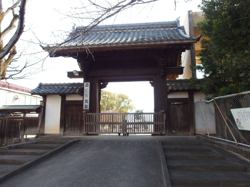 幼稚園・保育園　白鳩保育園（幼稚園・保育園）まで1076m
