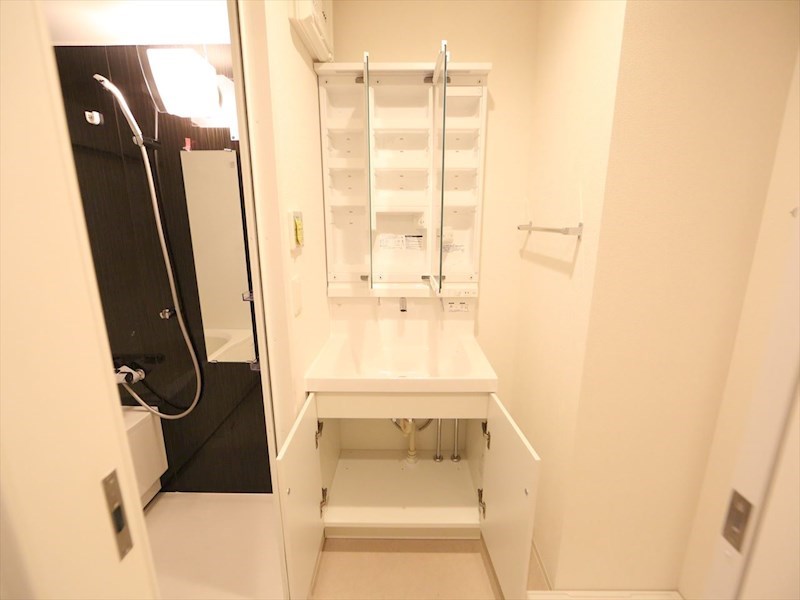 洗面設備　脱衣所　独立洗面台（シャンプードレッサー付）収納スペース有