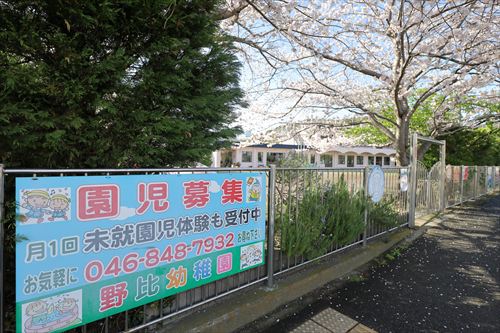 幼稚園・保育園　野比幼稚園（幼稚園・保育園）まで228m