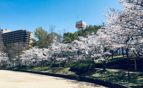 公園　池上中央公園（公園）まで756m
