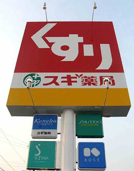 ドラックストア　スギ薬局極楽店（ドラッグストア）まで760m