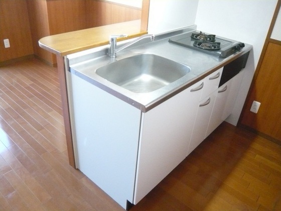 キッチン　他号室のお写真です