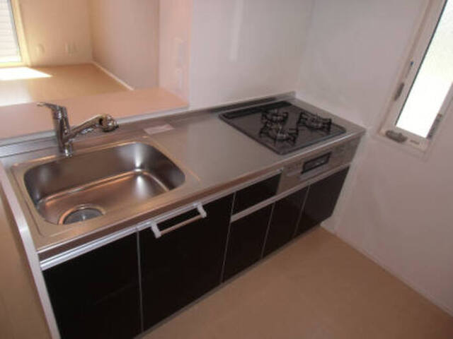 キッチン　チェリーハウスIIＢ棟１０１流し台