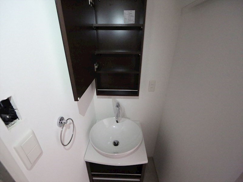 洗面設備　脱衣所　独立洗面台　収納スペース有