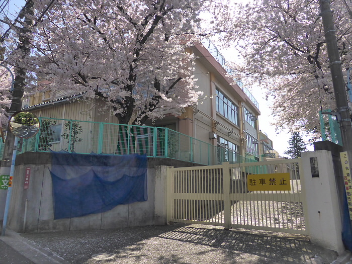 小学校　杉並区立 新泉小学校（小学校）まで264m