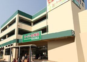 スーパー　ＴＡＩＧＡ（スーパー）まで500m