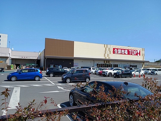 スーパー　生鮮市場ＴＯＰ流山セントラルパ（スーパー）まで750m