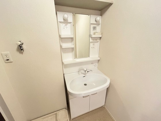 洗面設備　※別号室の写真になります。