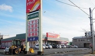 ドラックストア　ツルハドラッグ河原木店（ドラッグストア）まで650m