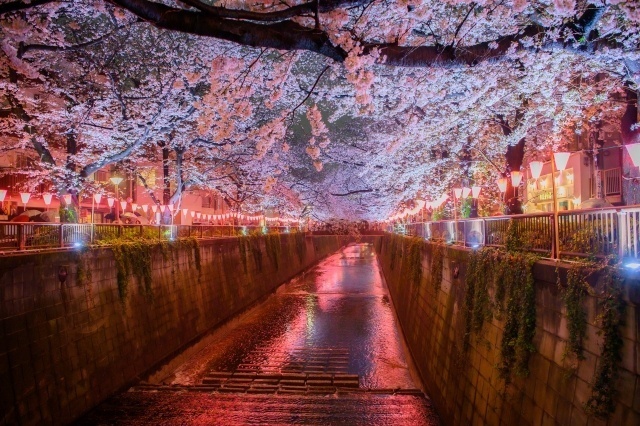 その他　目黒川（その他）まで400m