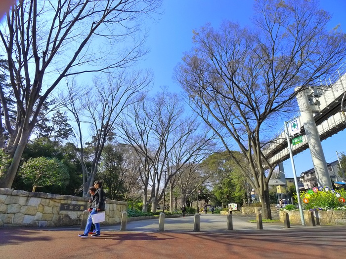 公園　千葉公園（公園）まで165m