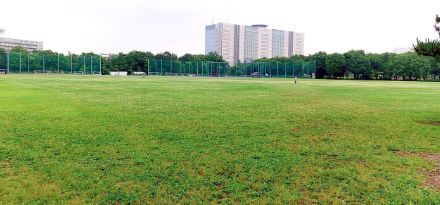 公園　都立武蔵野中央公園（公園）まで4496m