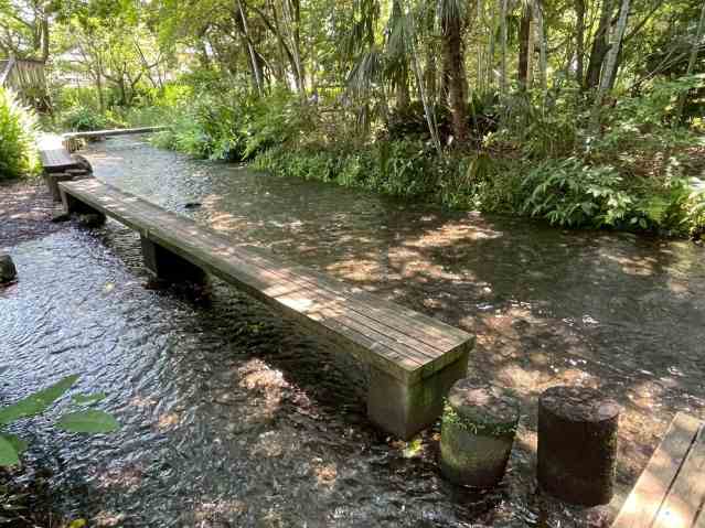 公園　水の苑緑地（公園）まで315m