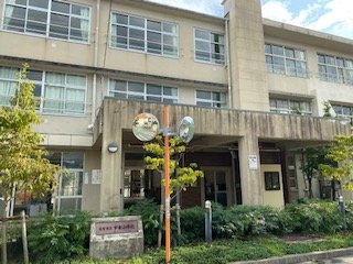 小学校　西宮市立甲東小学校（小学校）まで541m