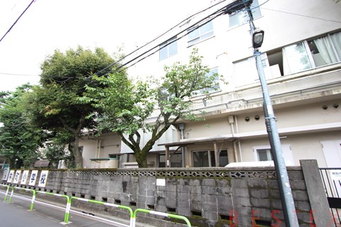 小学校　文京区立林町小学校（小学校）まで322m