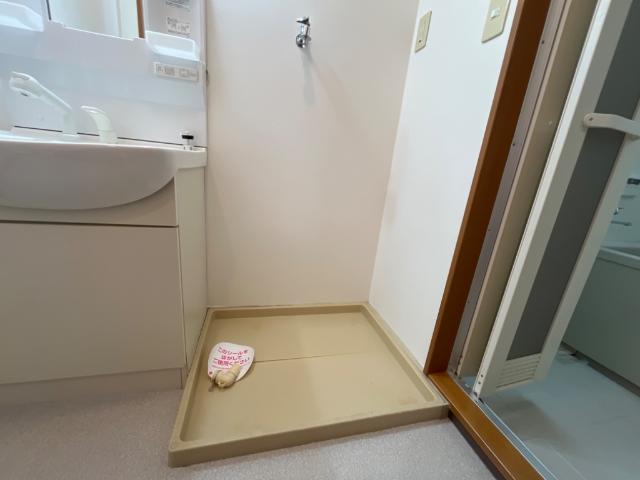 その他　洗濯機置場