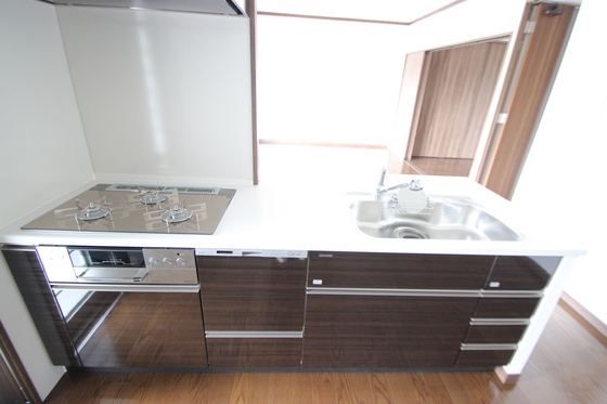 キッチン　※写真は別号室です