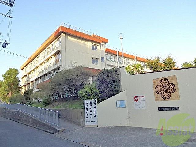 小学校　緑地小学校（小学校）まで467m