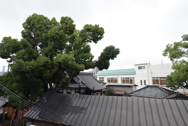 眺望　同物件の別部屋のお写真です。ご参考までに御覧ください。