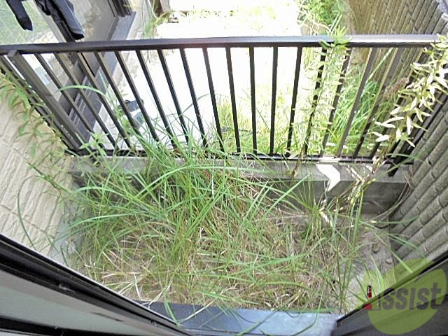 バルコニー　南向きで日当たりのいいベランダでお洗濯もお布団もふっかふか