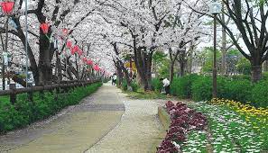 公園　妹尾緑道（公園）まで727m