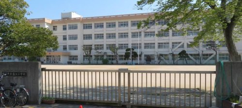 小学校　明石市立藤江小学校（小学校）まで1117m