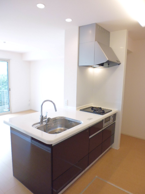 キッチン　２口ガスコンロ付きに対面システムキッチン