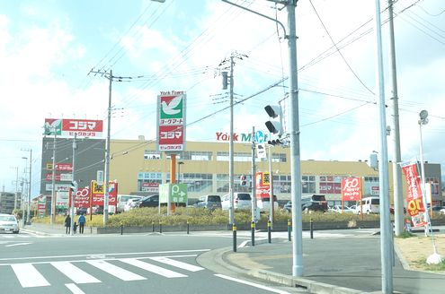 スーパー　ヨークマート北金目店（スーパー）まで1055m