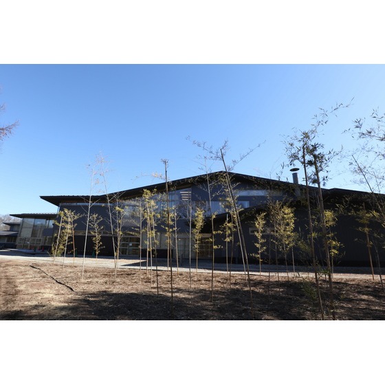 中学校　私立軽井沢風越学園（中学校）まで4037m