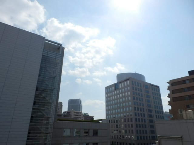 眺望　※別部屋の参考写真です。