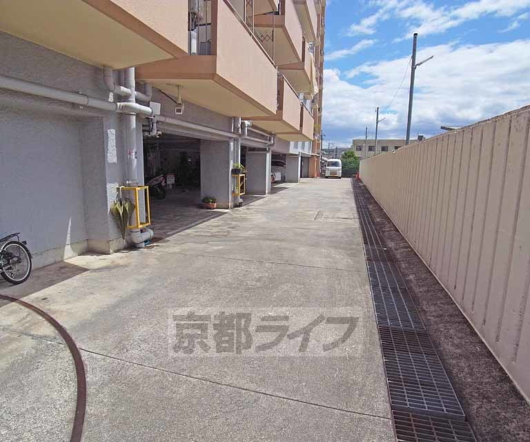 庭