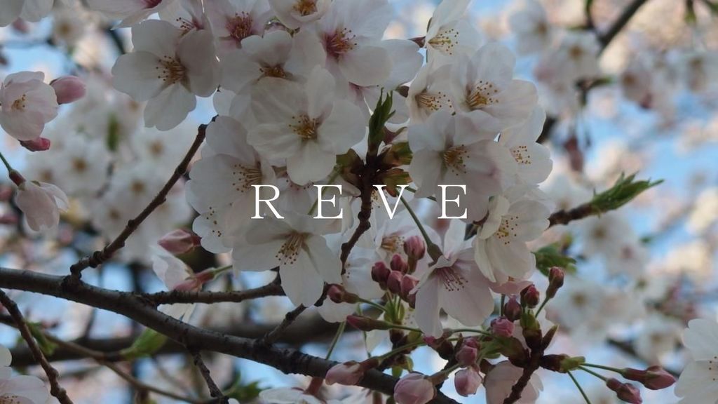 公園　播磨坂さくら並木（公園）まで760m