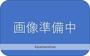  1階 築41年6ヶ月の賃貸物件