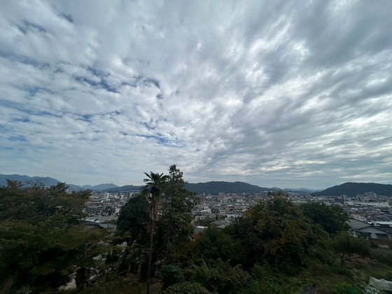 眺望　※別部屋の写真です