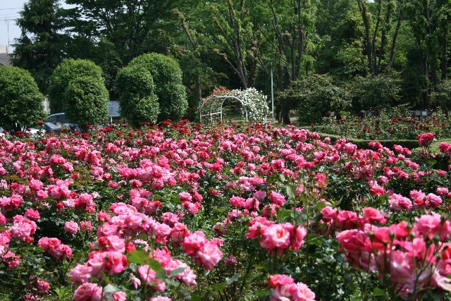 その他　与野公園（その他）まで380m
