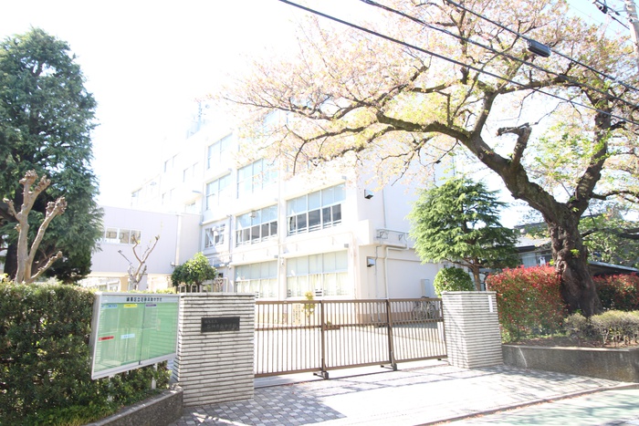 中学校　石神井南中学校（中学校）まで519m