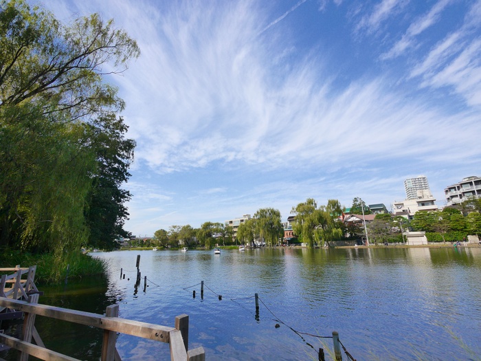 公園　石神井公園（公園）まで1600m
