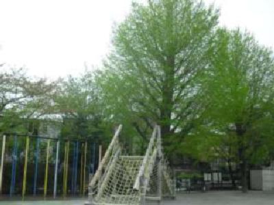 小学校　太子堂小学校（小学校）まで700m
