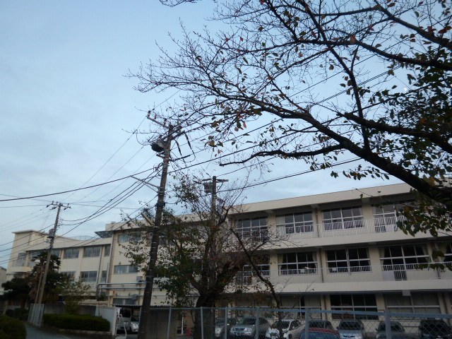 小学校　土浦市立土浦第二小学校（小学校）まで1194m