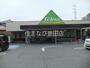 スーパー　Felna永覚新町店（スーパー）まで1306m