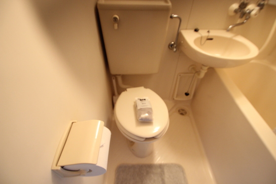 トイレ　※別部屋の写真です