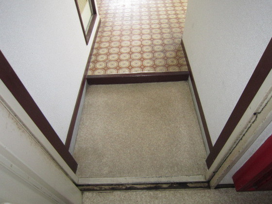 玄関　※別部屋の写真です