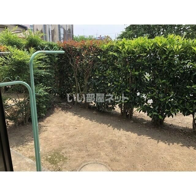 庭