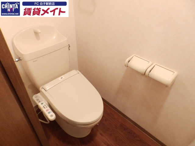 トイレ　同物件別部屋の写真