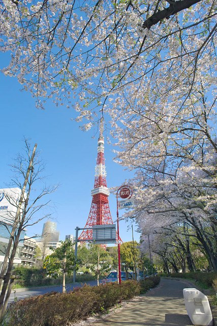 公園　都立 芝公園（公園）まで623m