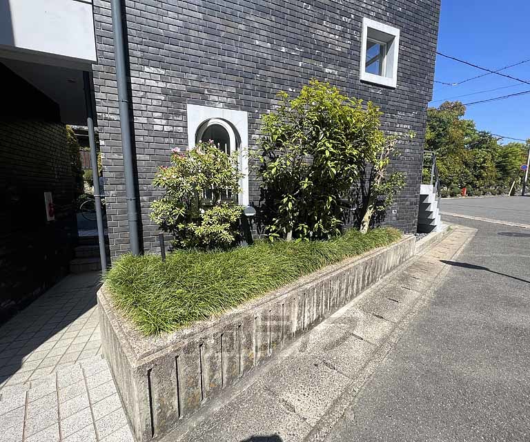 庭