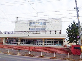 小学校　札幌市立平岸高台小学校（小学校）まで700m
